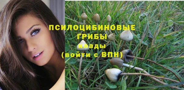 прущая мука Армянск